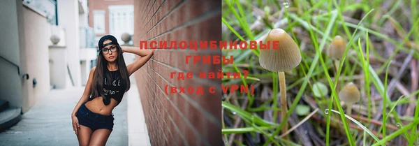гашик Белоозёрский