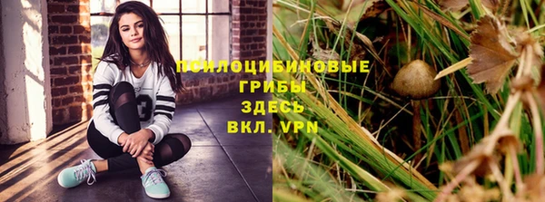 марки lsd Белокуриха
