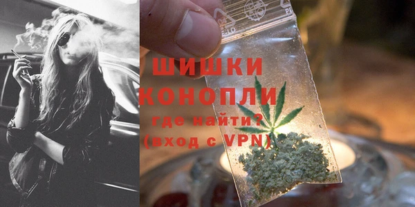 гашик Белоозёрский